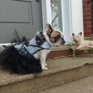 Denim Punk Dog Vest, Size Large NWT